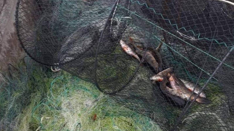 На Волині за два тижні рибоохоронний патруль склав 12 матеріалів про порушення природоохоронного законодавства
