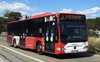 У Нововолинську влітку автобуси курсуватимуть за графіком «вихідного дня»
