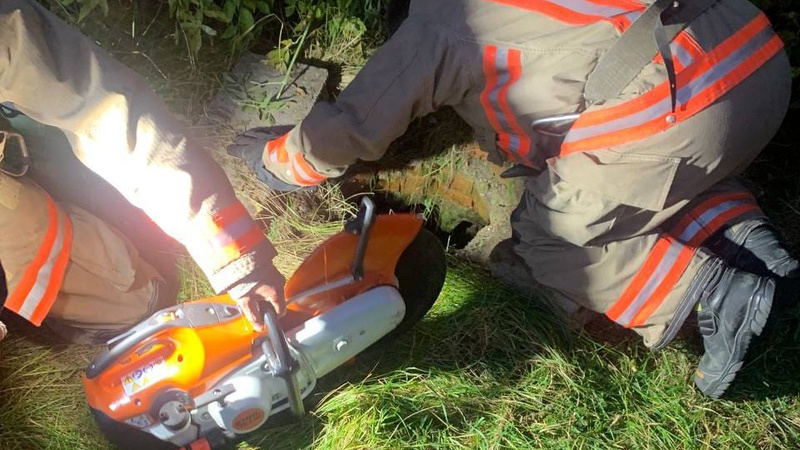 На Волині рятувальники дістали собаку з каналізаційної ями