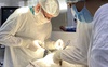 Волинські хірурги видалили пацієнтці величезний камінь з жовчного міхура
