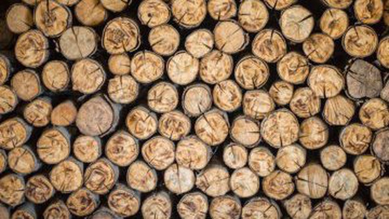 Волинянин, який продавав неіснуючі дрова, відсидить за ґратами 4 роки