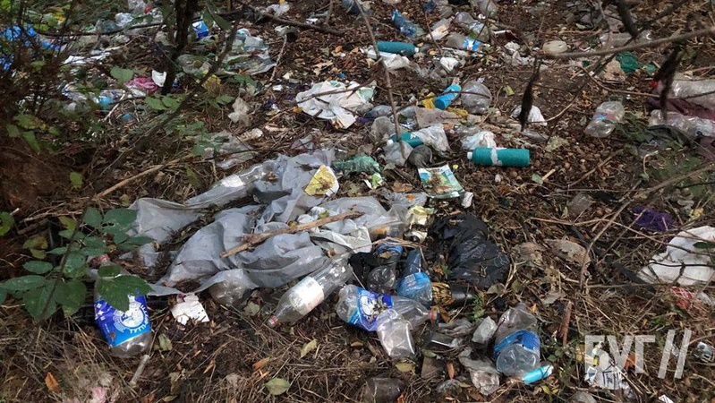 Парк у Володимирі перетворили на сміттєзвалище