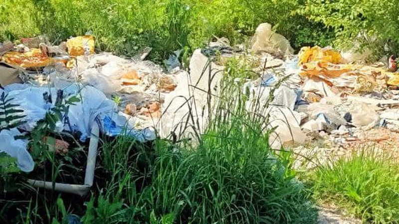 У Луцьку і на околицях міста розвели стихійні сміттєзвалища. ФОТО