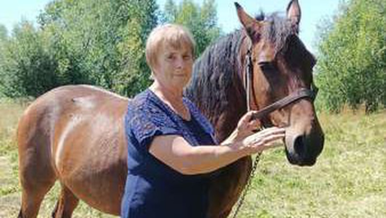 Волинська ветеринарка Марія Криса їде кіньми на роботу 18 км. ФОТО