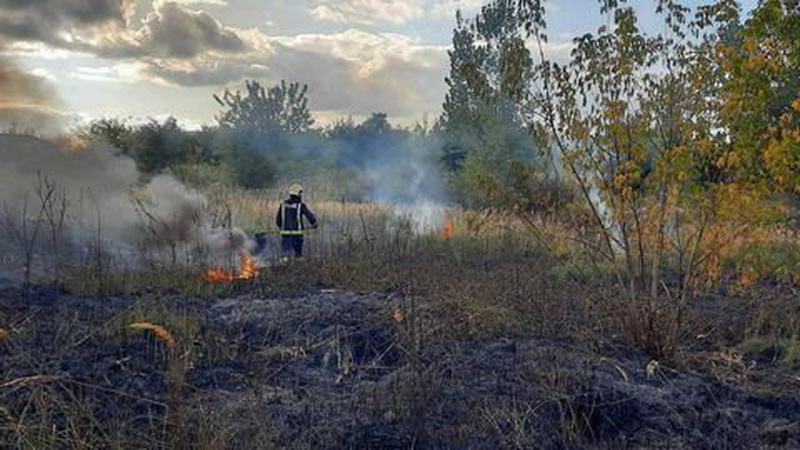 У Луцьку необережні курці спалили майже пів гектара трави