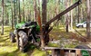 Серед лісу на Волині зупинили трактор з нелегальною деревиною