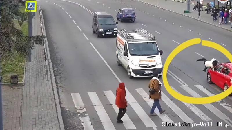 ДТП у Луцьку: показали, як автівка збила жінку на «зебрі»