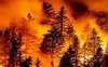 Лісові пожежі в Європі наближаються до рекордного показника