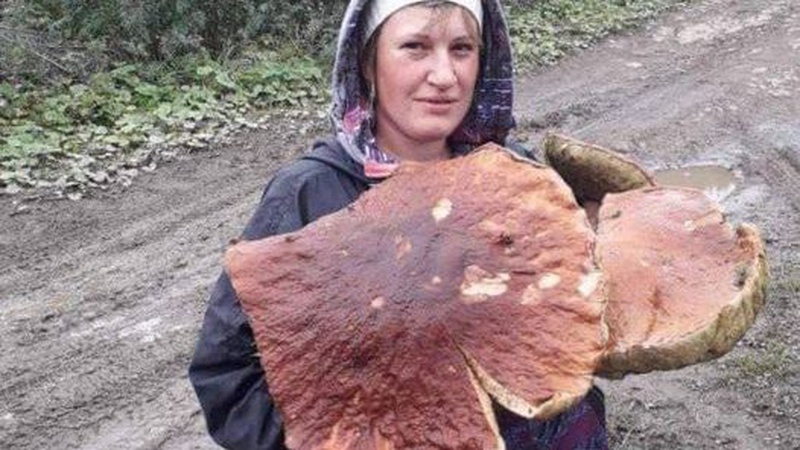 Новий рекорд Карпат: жінка знайшла білого гриба вагою 4,8 кг