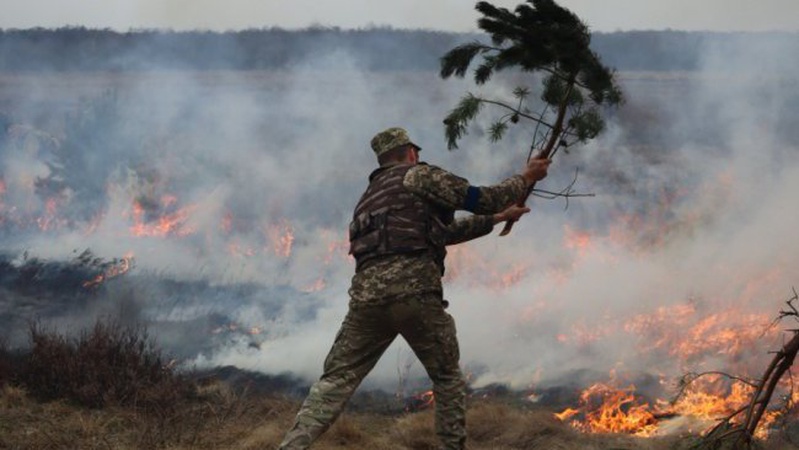 Бійці Волинської бригади тероборони ліквідували пожежу в екосистемі. ФОТО