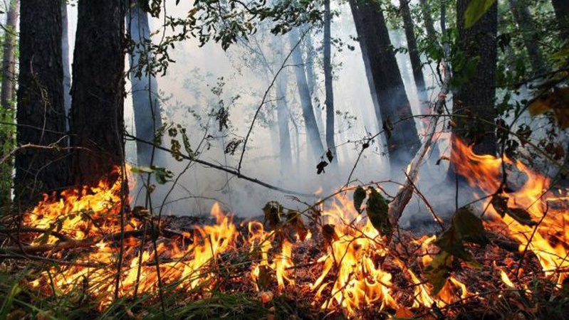 На Волині попереджають про надзвичайний рівень пожежної небезпеки