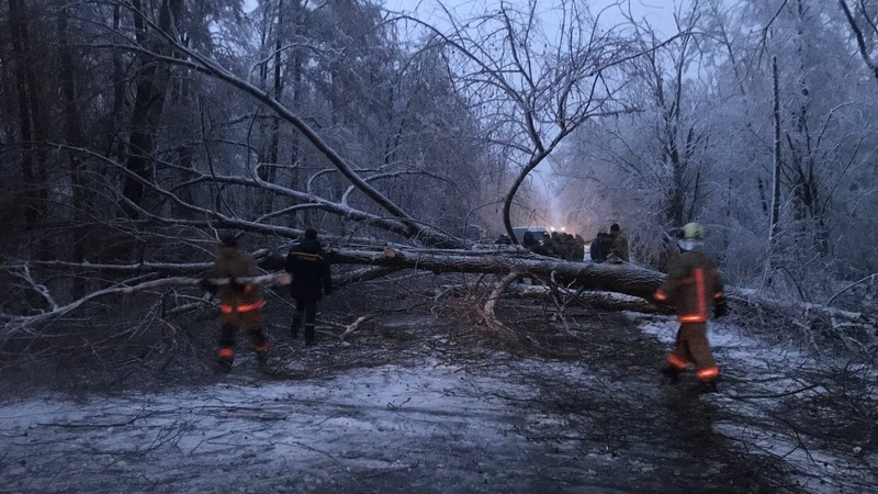Впало дерево на дорогу: волинські рятувальники розчистили дорогу