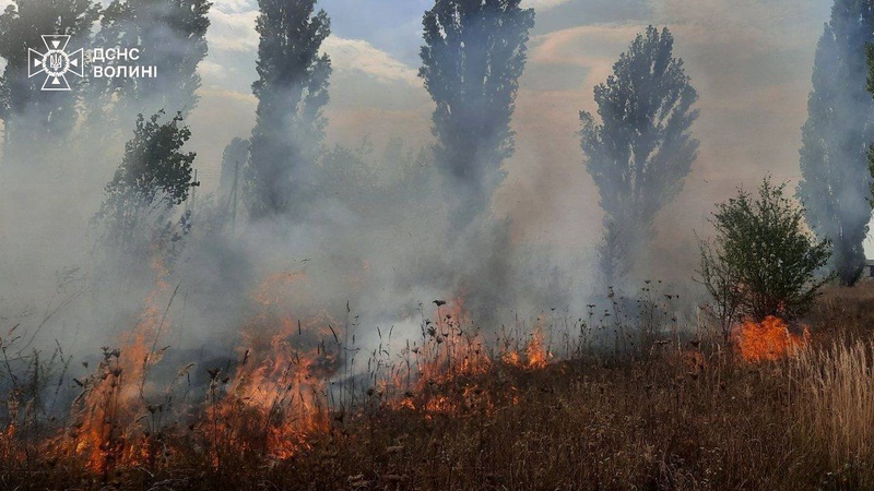 Рятувальники ліквідували 13 пожеж на відкритих територіях