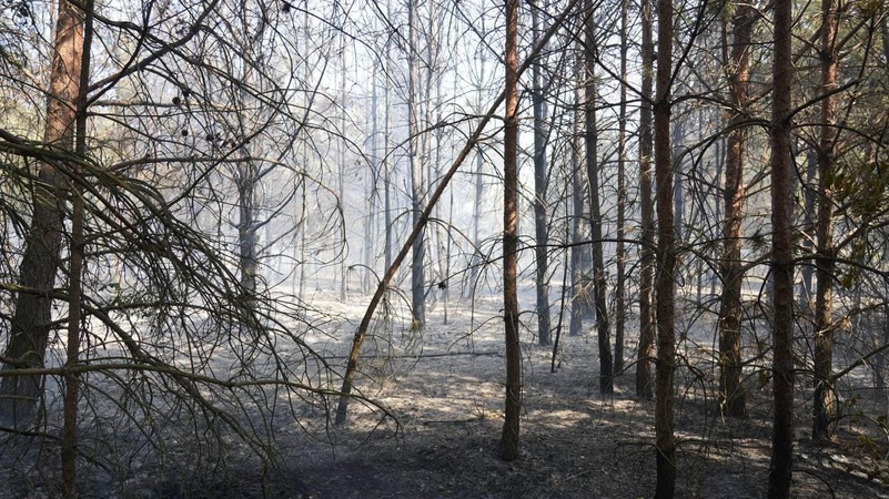 Волинські рятувальники загасили 23 пожеж в екосистемах: є загиблий. ФОТО