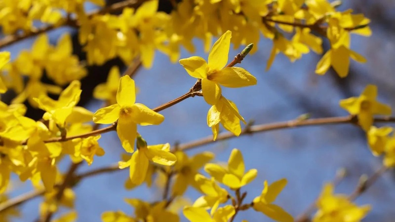 На вихідних в Україну прийде потепління