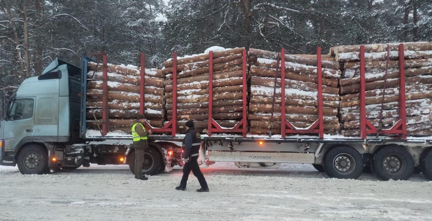 У районі на Волині затримали вантажівку, яка вивозила ліс