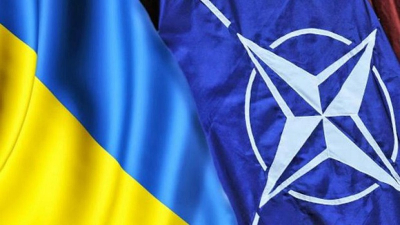 Литва схвалила резолюцію про прагнення влітку запросити Україну в НАТО