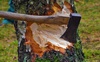 Незаконно нарубав дерев на 370 тисяч гривень: волинянин постане перед судом