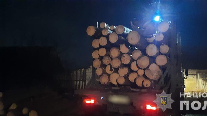 На Волині поліція розслідує факти незаконно зрізаної деревини
