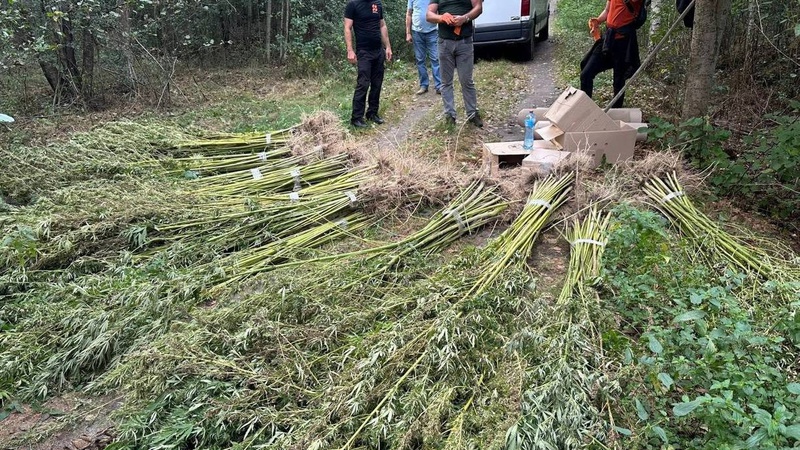 Поліцейські затримали волинянина у якого вилучили заборонених речовин на мільйон гривень