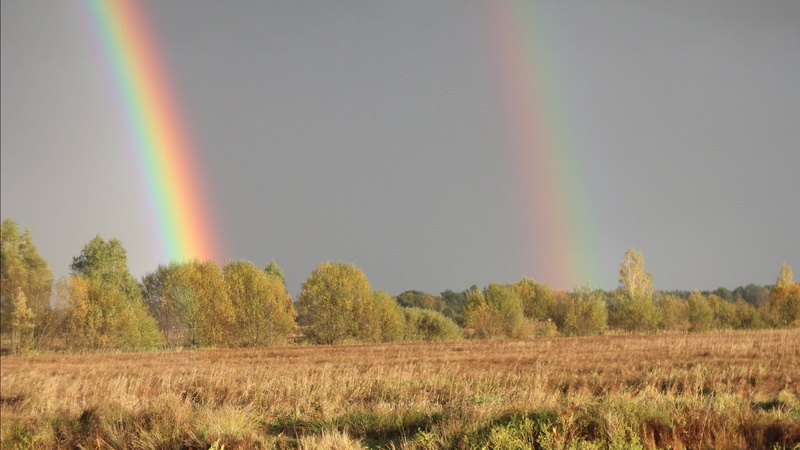 У Любешові спостерігали подвійну веселку. ФОТО