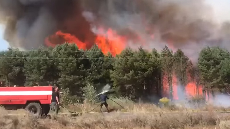 Через підпал у громаді на Волині спалахнули лісові пожежі