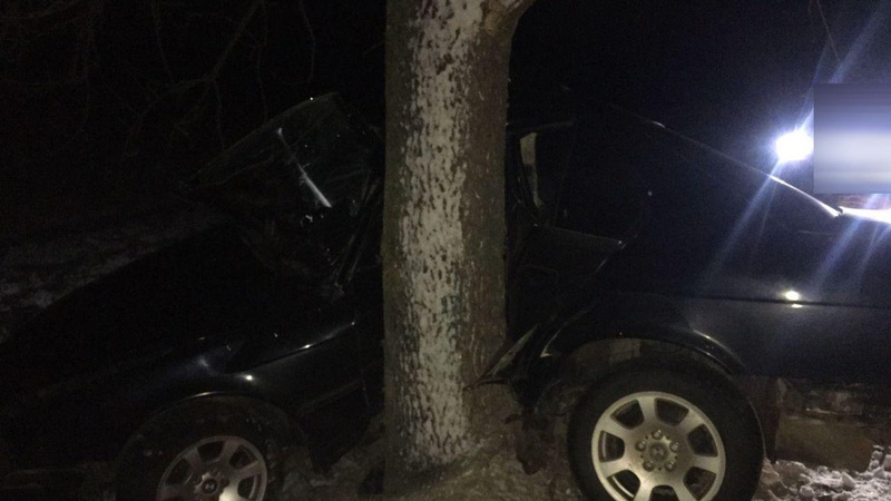 Злетів з дороги і врізався у дерево: в поліції розповіли деталі автотрощі на Волині