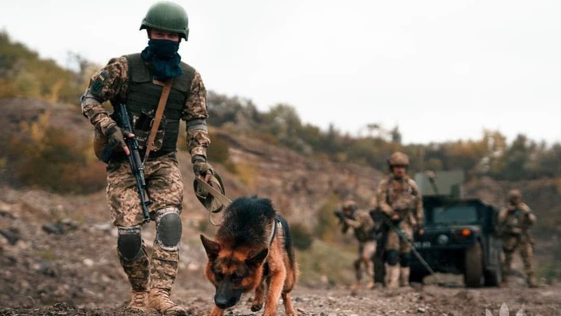 ЗСУ відбили атаки окупантів на сімох напрямках