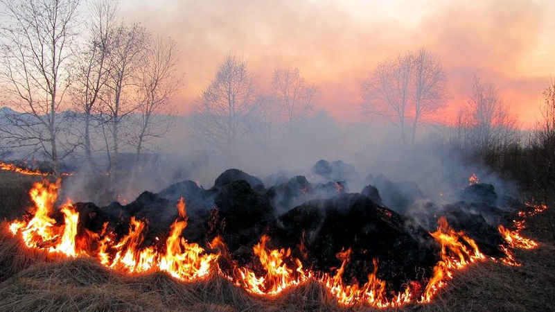 Волинян попереджають про надзвичайний рівень пожежної небезпеки