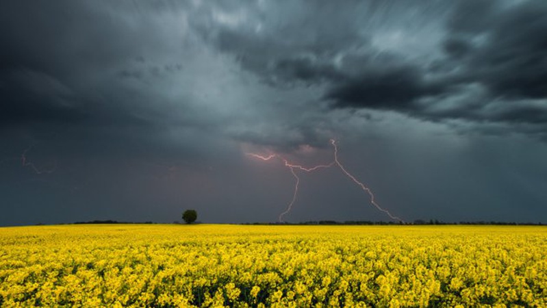 Спека відступає: у понеділок Україні прогнозують дощі та грози