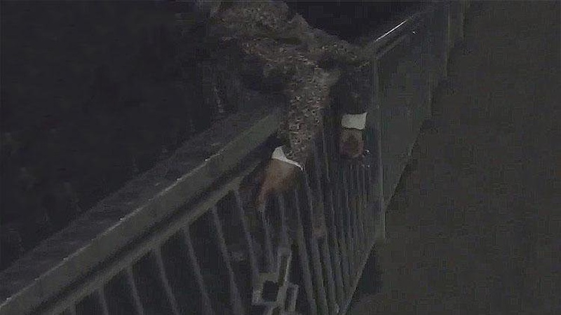 У Ковелі юнак врятував жінку, яка хотіла стрибнути з мосту. ВІДЕО