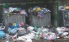 У Луцьку хочуть удвічі збільшити тариф на вивезення сміття