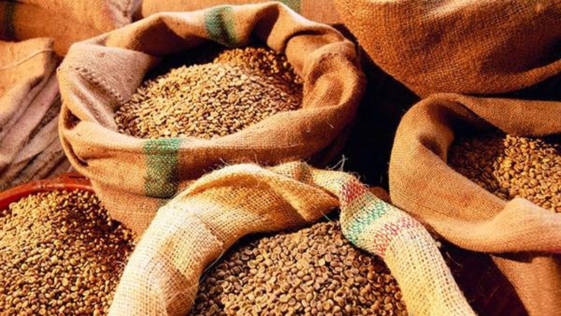 Тисячі тонн зерна: волинські митники викрили недоброчесного експортера