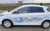 Розписала автомобіль у Чехії: українка популяризує петриківський розпис у світі. ВІДЕО. ФОТО
