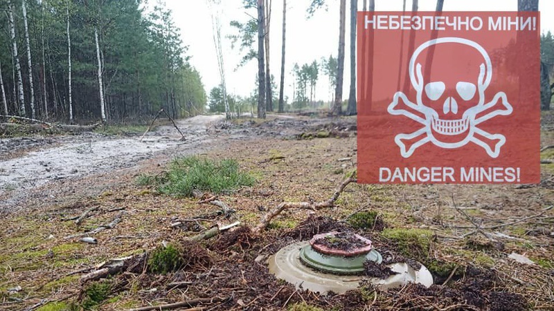 Мешканців Волині попереджають про міни у лісах на кордоні з білоруссю