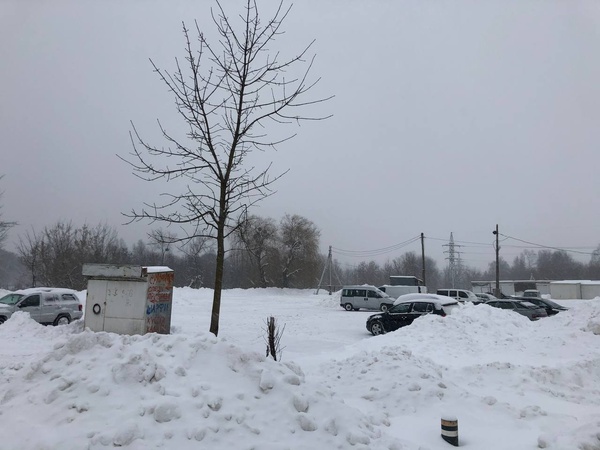 Підприємці луцького ринку для покупців самотужки розчистили сніг на парковці