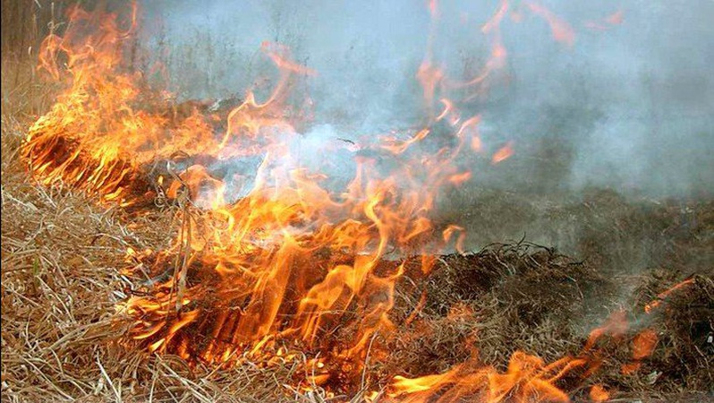 На одній з вулиць Луцька загорілась трава