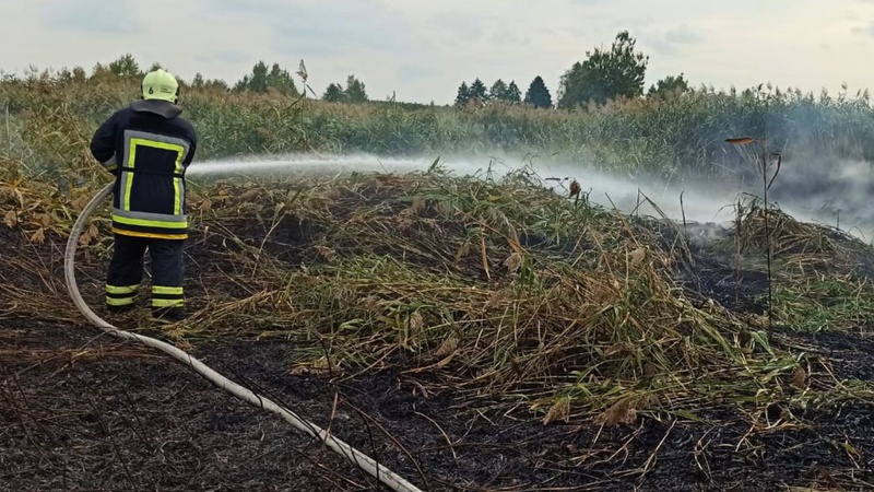 На Волині рятувальники ліквідували 2 пожежі в екосистемах. ФОТО