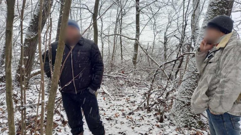 У заказнику на Володимирщині затримали браконьєрів, які вбили двох кабанів. ФОТО