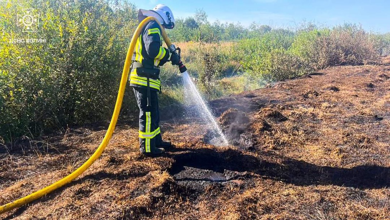 За минулу добу на Волині рятувальники ліквідували  3 пожежі на відкритій території. ФОТО