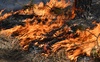 Волинян попереджають про пожежну небезпеку