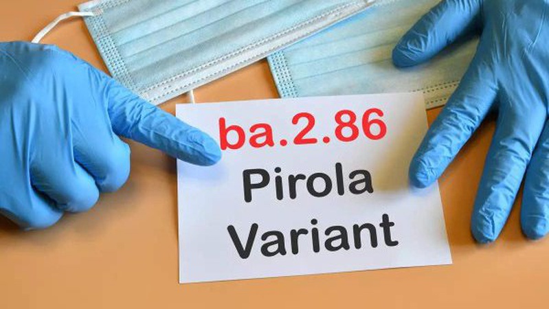 В Україні виявили перший випадок нового варіанту коронавірусу «Пірола»: де саме