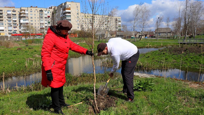 У Володимирі висадили понад 50 дерев
