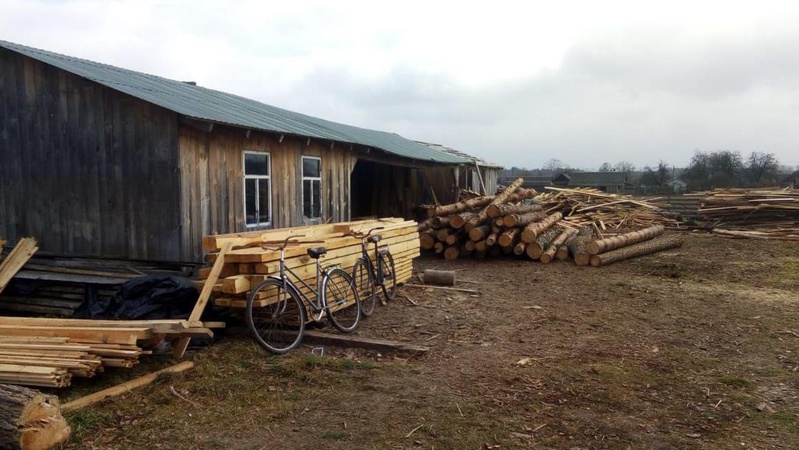 На Шаччині викрили приватну пилораму з незаконною деревиною
