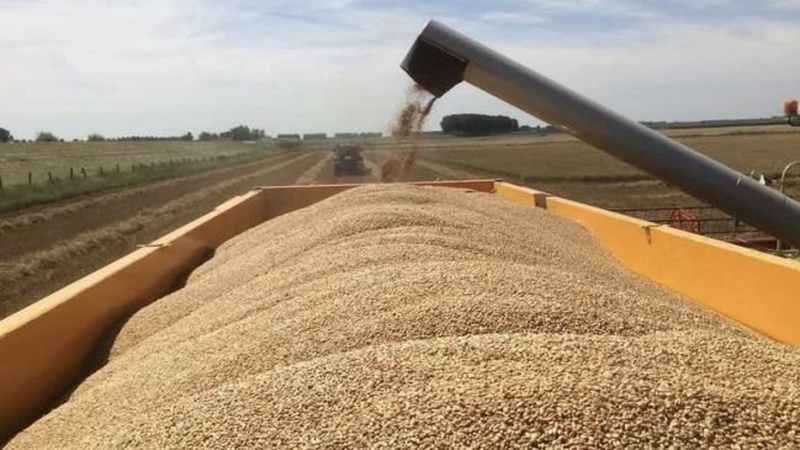Як Україні вирішити проблему експорту зерна? — Андрій Клименко