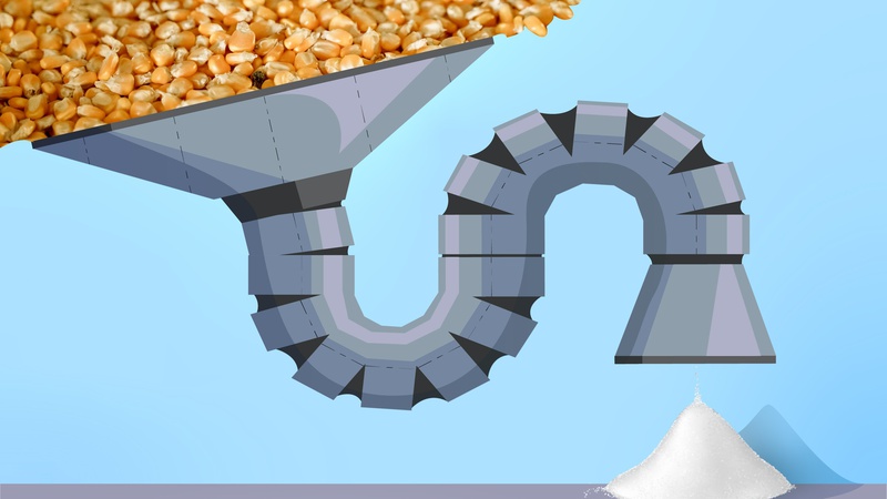 На Гнідавському цукровому заводі перероблятимуть кукурудзу на біоетанол