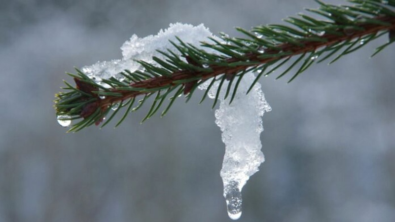На Волинь йде потепління: прогноз погоди на тиждень